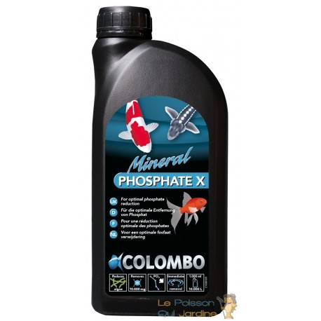 Produit bassin réducteur de phosphates – Prévention durable des algues