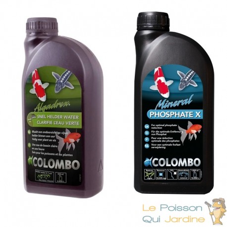 Pack bassin anti algues – Prévention phosphates + traitement eau verte