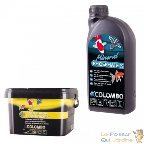 Pack bassin algues filamenteuses – Prévention phosphates + traitement curatif