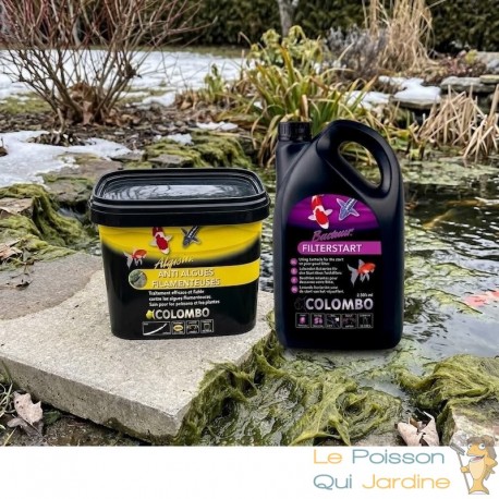 Pack Traitement Indispensable Printemps Bassin 5000L - Anti-Algues et Bactéries