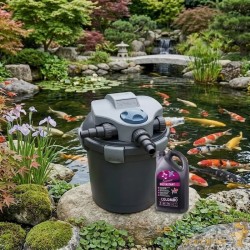 Filtre de bassin pression 10000L - UV 9W + 1000ml Bactéries de démarrage