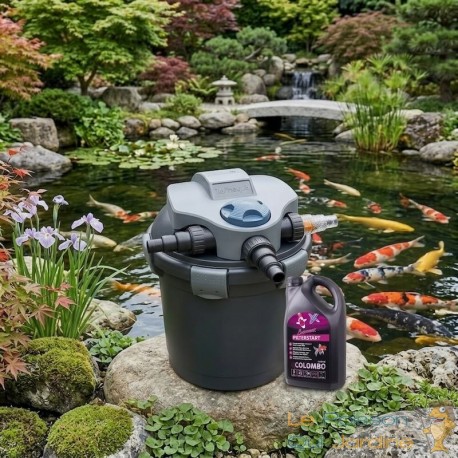 Filtre de bassin pression 10000L - UV 9W + 1000ml Bactéries de démarrage