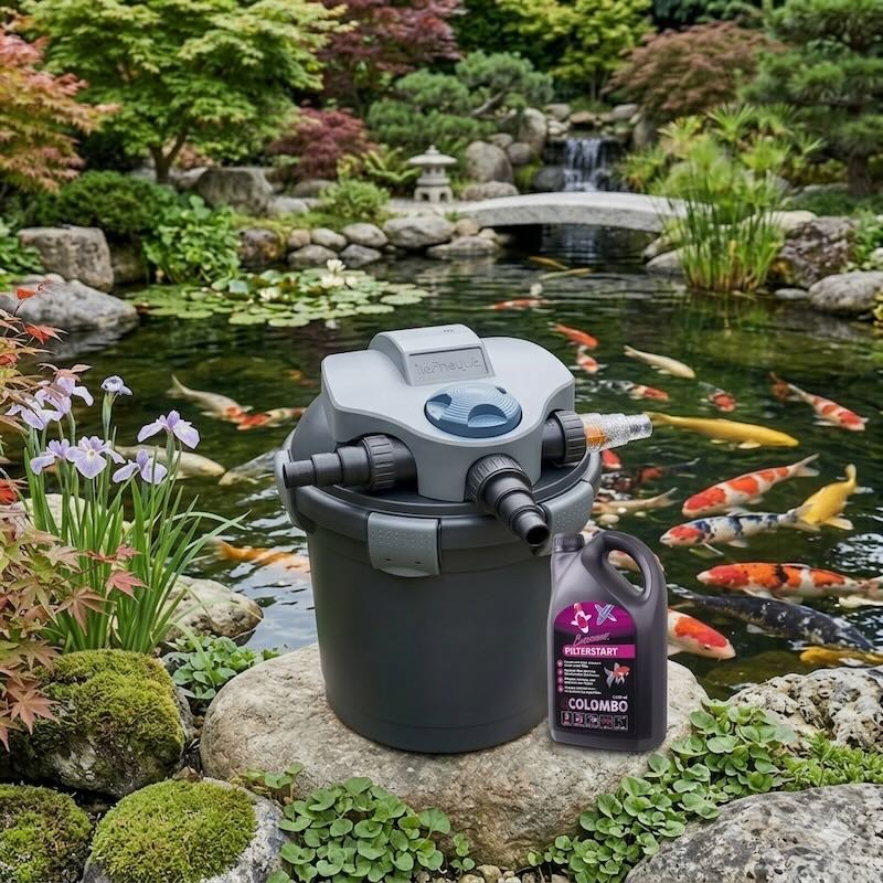 Filtre de bassin pression 10000L - UV 9W + 1000ml Bactéries de démarrage