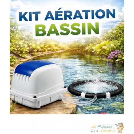 Set Aérateur Bassin Pompe à air 3600 l/h 1 diffuseur 31 cm SILENCIEUX. Pour 4000 litres environ