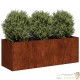 Jardinière Acier Corten 120 X 40 X 40 cm. Aspect Rouille, Très tendance. Jardin, Pation, Balcon