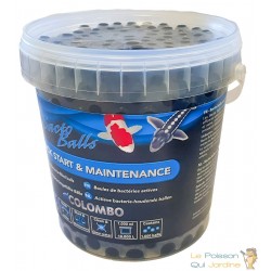 Billes de Bactéries Actives pour Bassin - 1000ml - Format Économique