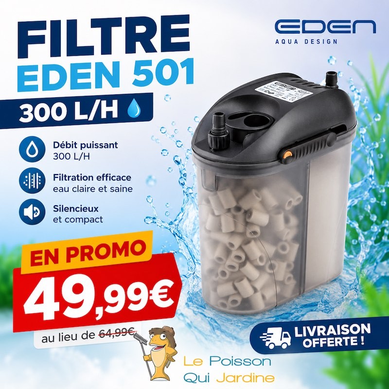 Filtre Extérieur Pour Aquariums De 60 Litres : 300 l/h EDEN 501