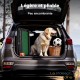 Rampe Pliable Chien Voiture 155 x 40 cm Gazon Synthétique Antidérapant 75kg