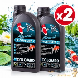 Produit bassin réducteur de phosphates – Prévention durable des algues