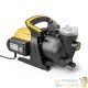 Pompe d'Arrosage de Jardin Électrique 1200W Refoulement 48 m Profondeur 8 m avec Préfiltre