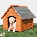 Niches Chiens
