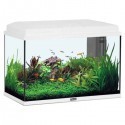 PROMO AQUARIUMS